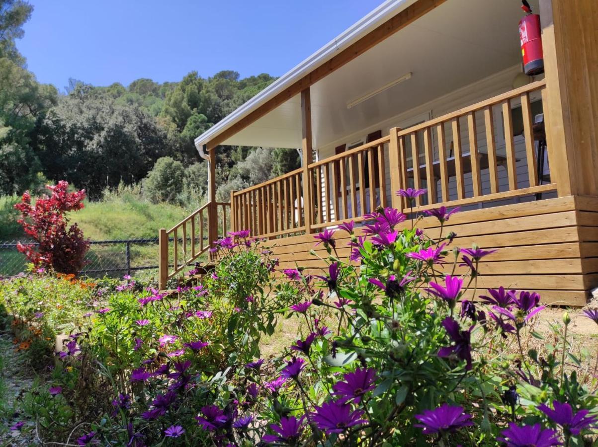 Camping Roca Grossa Καλέλα Εξωτερικό φωτογραφία