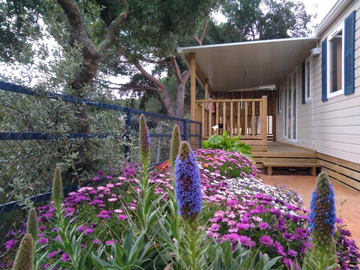 Camping Roca Grossa Καλέλα Εξωτερικό φωτογραφία