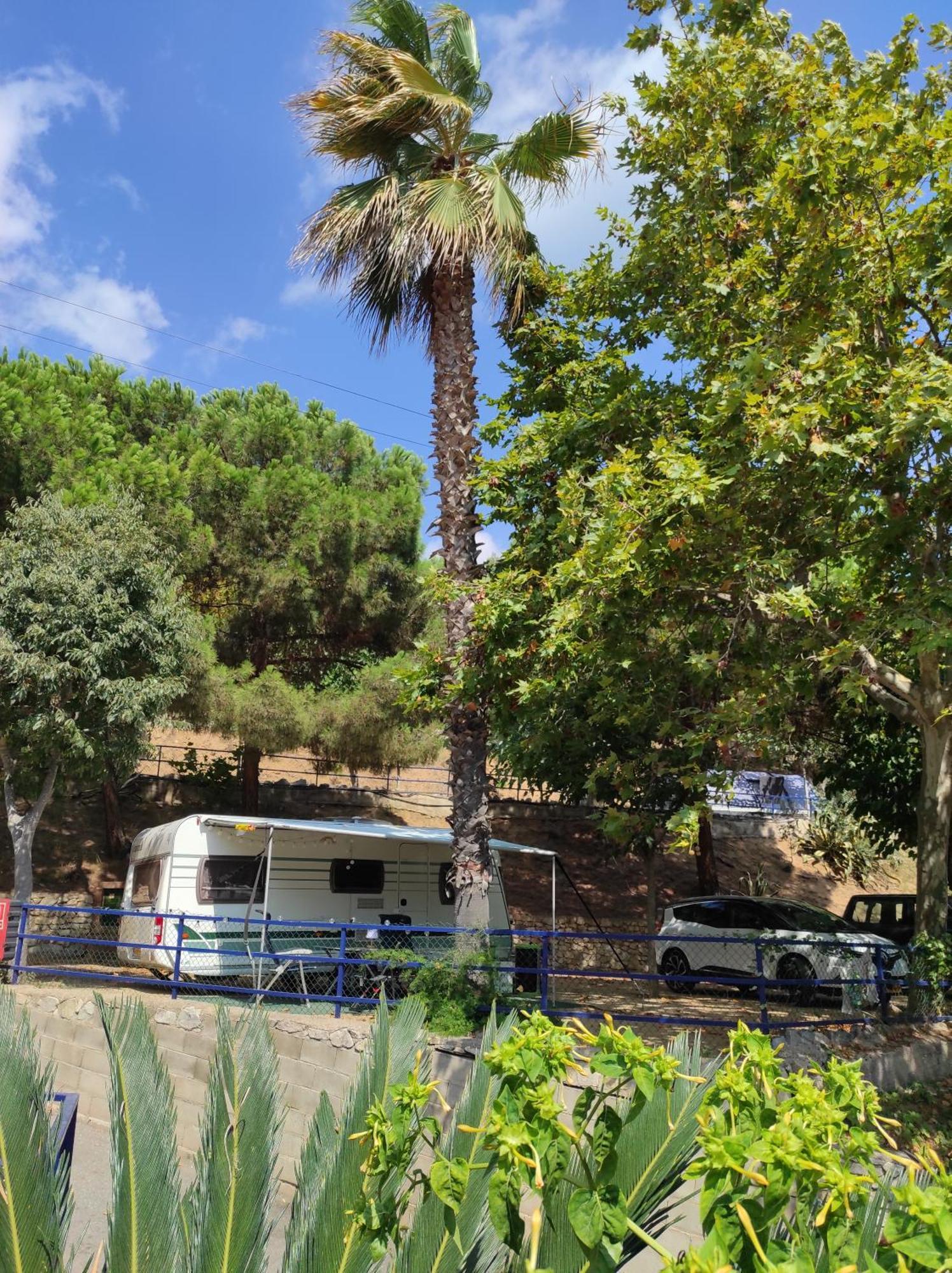 Camping Roca Grossa Καλέλα Εξωτερικό φωτογραφία