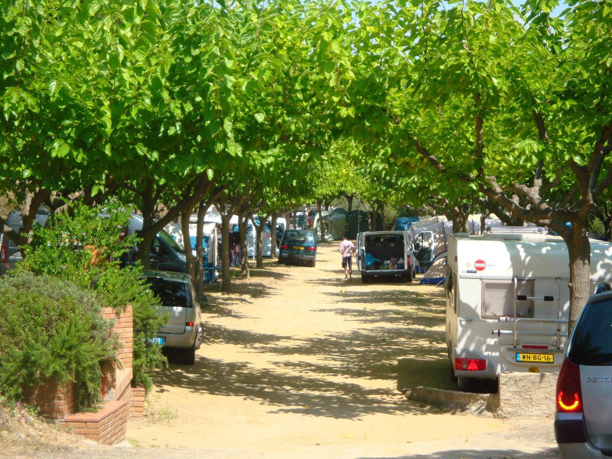 Camping Roca Grossa Καλέλα Εξωτερικό φωτογραφία