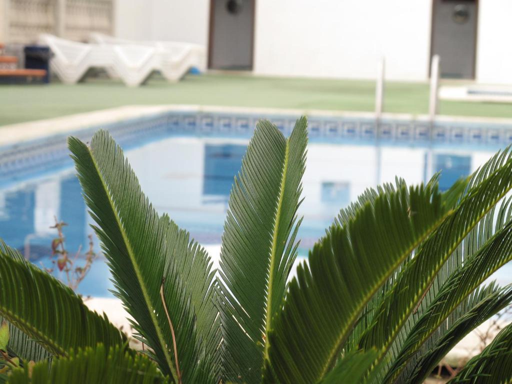 Camping Roca Grossa Καλέλα Εξωτερικό φωτογραφία